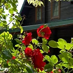 Dom Na Wzgorzu 479, The House On The Hill 別荘 *