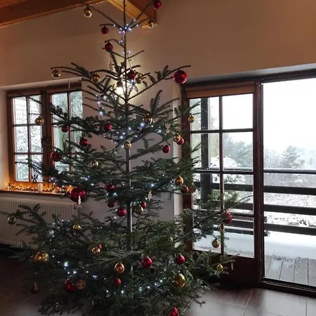 Holiday home Dom Na Wzgorzu 479, The House On The Hill *