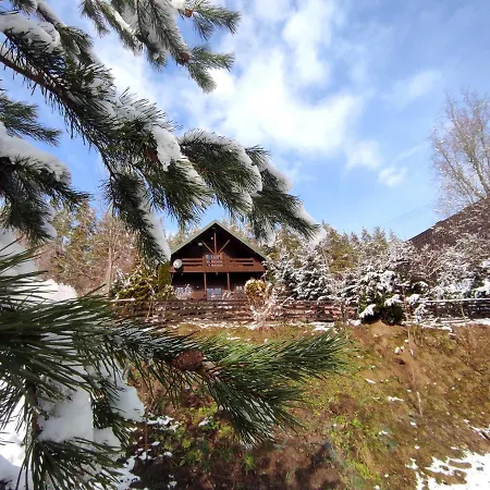 Holiday home Dom Na Wzgorzu 479, The House On The Hill