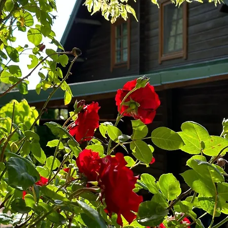 Dom Na Wzgorzu 479, The House On The Hill Holiday home *